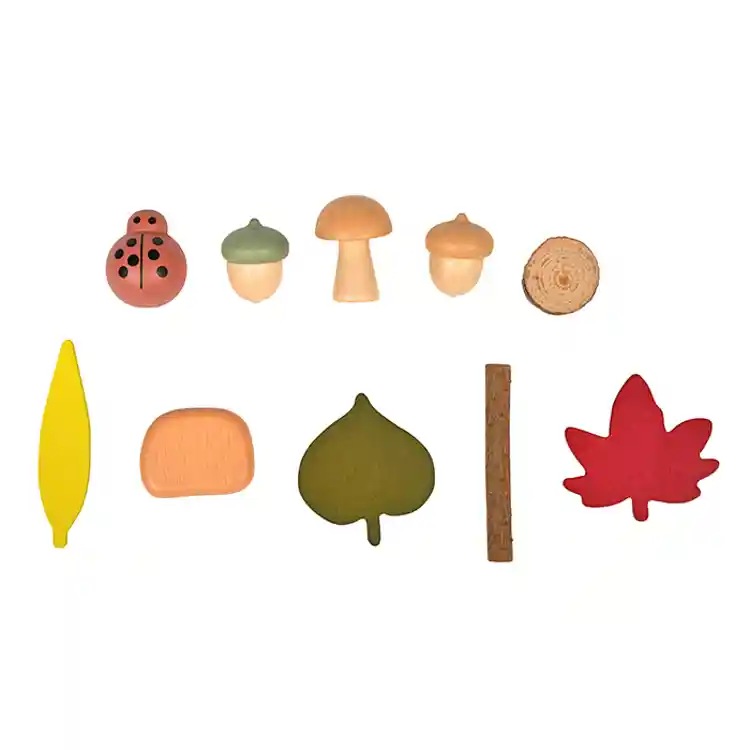 Nature's Sorting Box