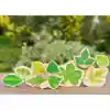 Stacking Leaves