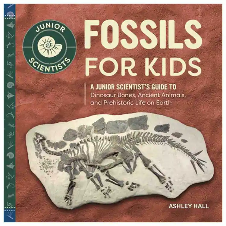 Fossils for Kids
