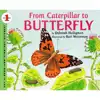From Caterpillar to Butterfly
