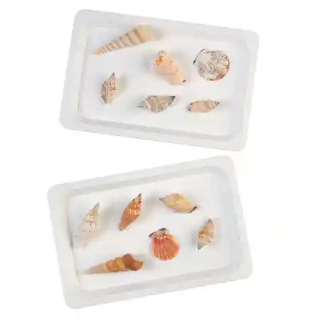 White Plastic Trays Set