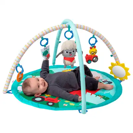 Happy Harvest Farm Activity Gym