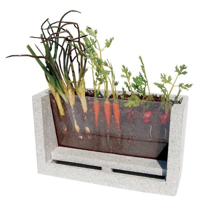 Root Vue Farm