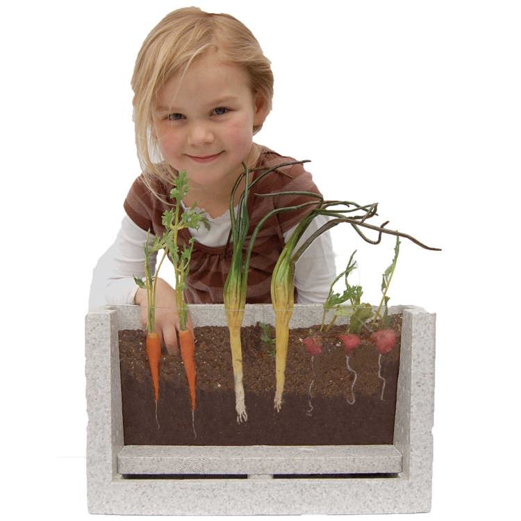 Root Vue Farm