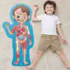 Human Body Puzzle