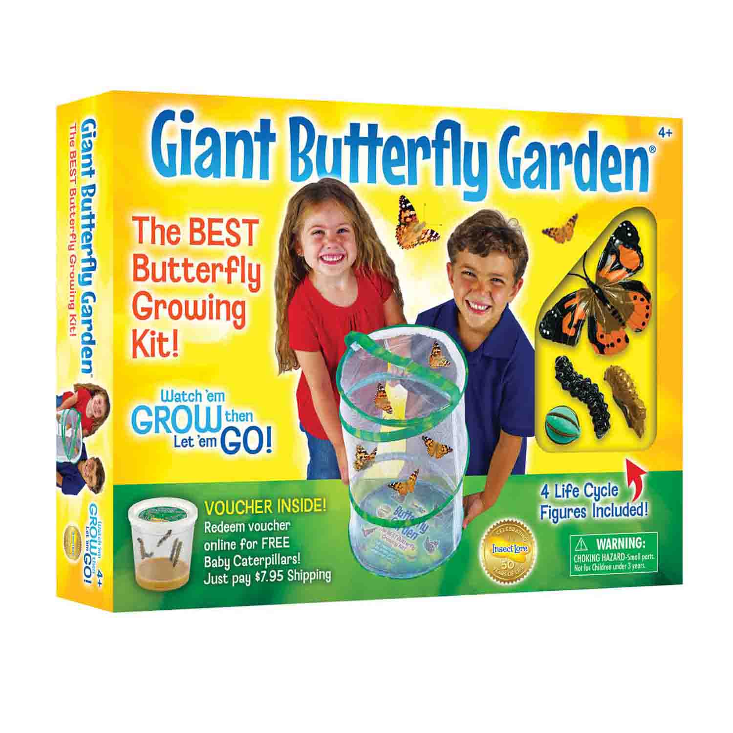 Giant Butterfly Garden