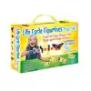 Life Cycle Figurines Classroom Set