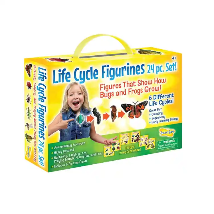 Life Cycle Figurines Classroom Set