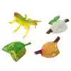 Life Cycle Figurines Classroom Set