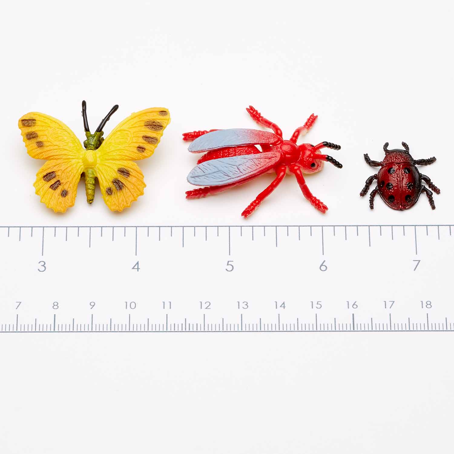 Insect World - Buy Eraser Clay, eraser clay insect toy, clay insect toy  Product on PAULINDA INDUSTRIES(1999) LTD.