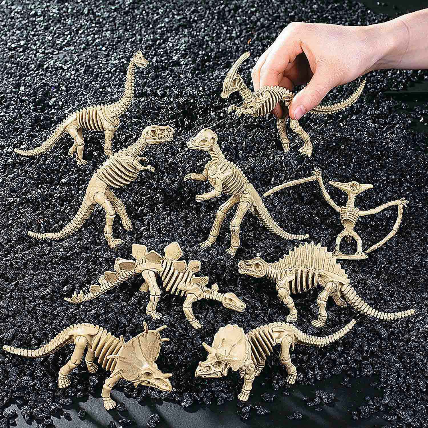 Dino-Mite Dinosaur Skeletons