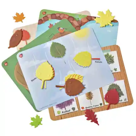 Sensory Leaves Math Activity Set