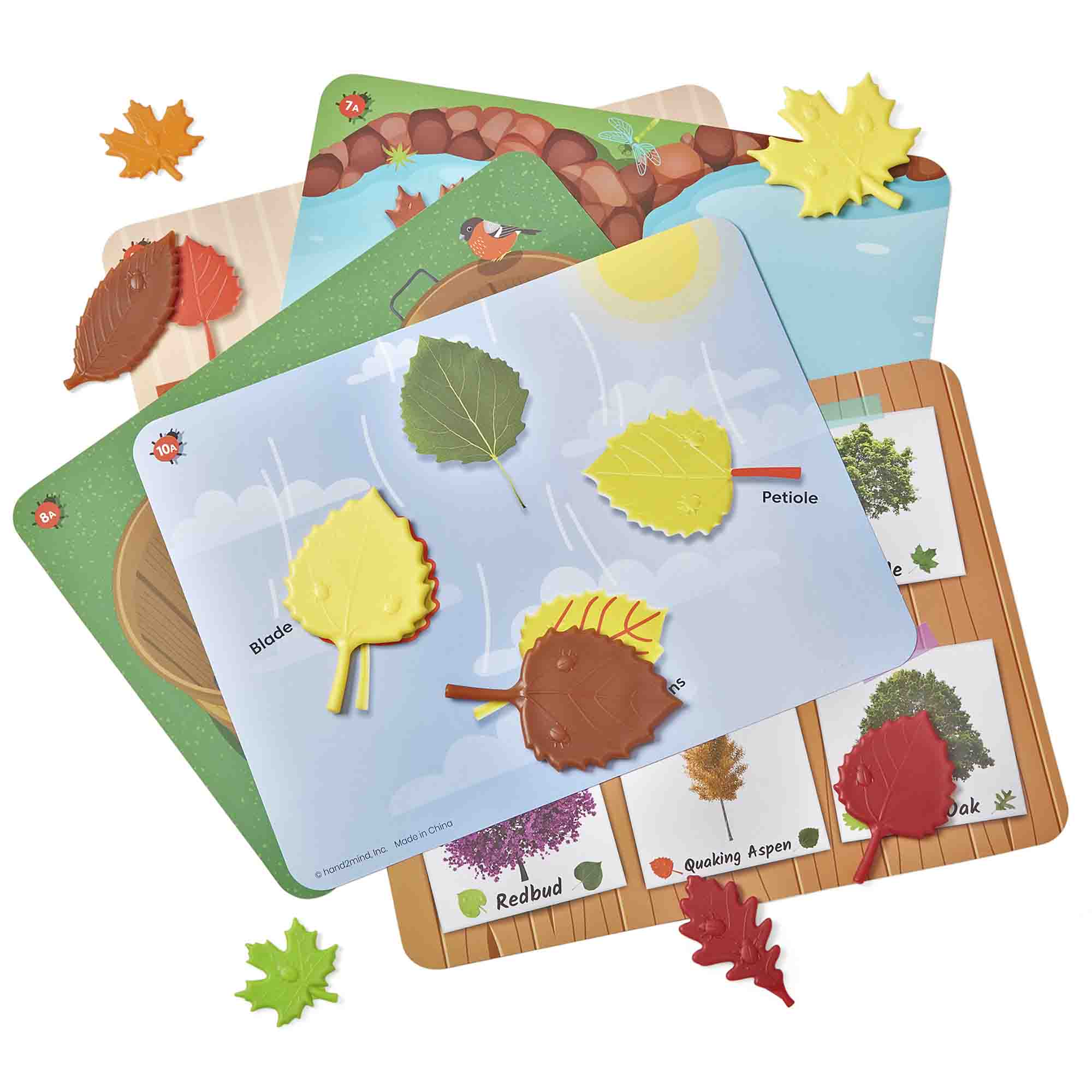Sensory Leaves Math Activity Set | Math Activity for Preschool | Becker's