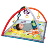 Safari Activity Gym & Play Mat