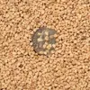 Knot Sand