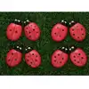 Ladybug Counting Stones