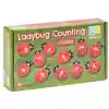 Ladybug Counting Stones