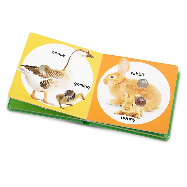 Poke-A-Dot Board Book Set