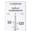 Giant Classroom Thermometer