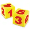 Giant Cubes Kit