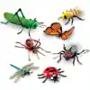 Jumbo Insects