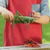 Jumbo Insects
