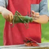 Jumbo Insects