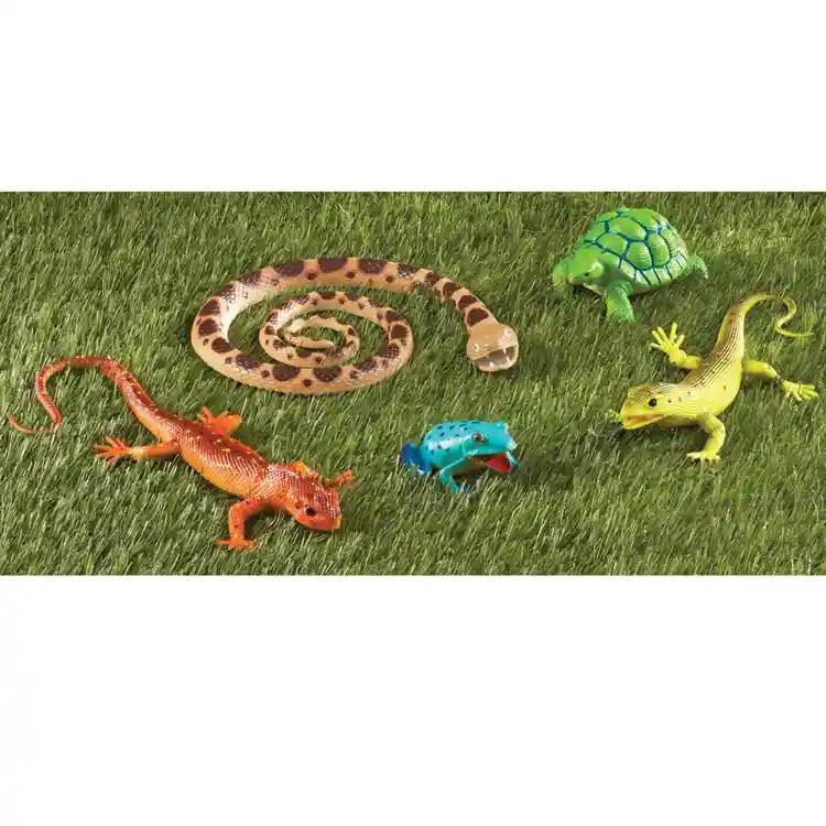 Jumbo Reptiles & Amphibians