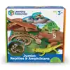 Jumbo Reptiles & Amphibians
