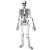 Skeleton Floor Puzzle