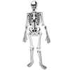Skeleton Floor Puzzle
