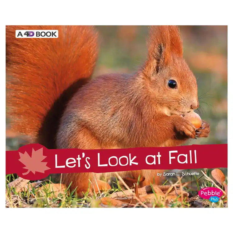 Let Look For Fall Let's Look at Fall Children's Book | Becker's