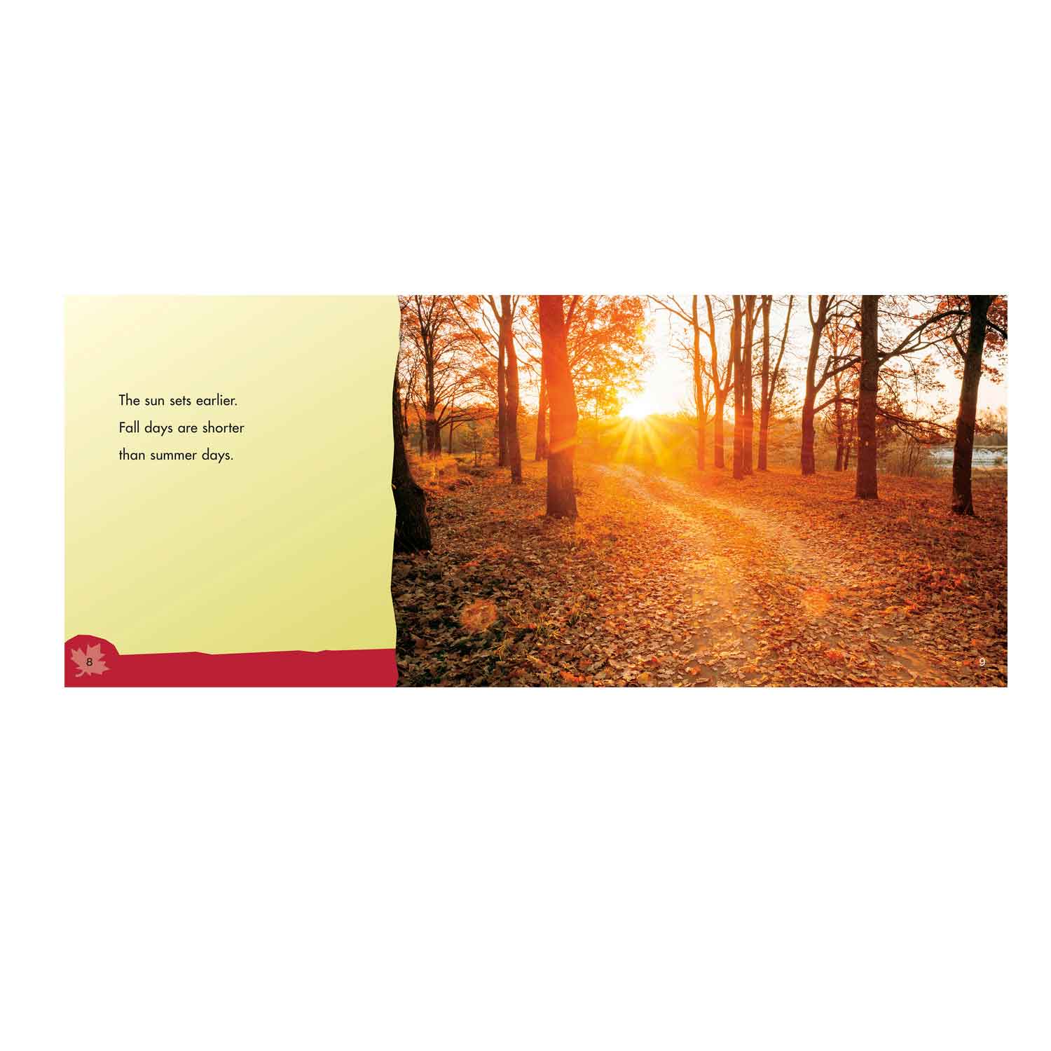 Let Look For Fall Let's Look at Fall Children's Book | Becker's