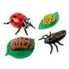 Life Cycle Figurines Classroom Set