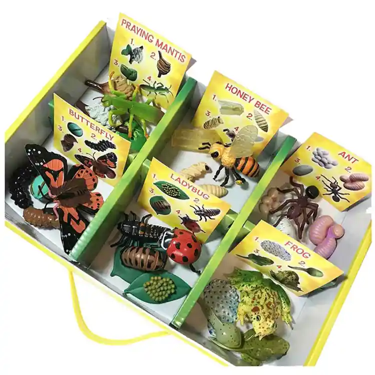 Life Cycle Figurines Classroom Set