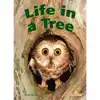Life In A Tree Big Book & Guide