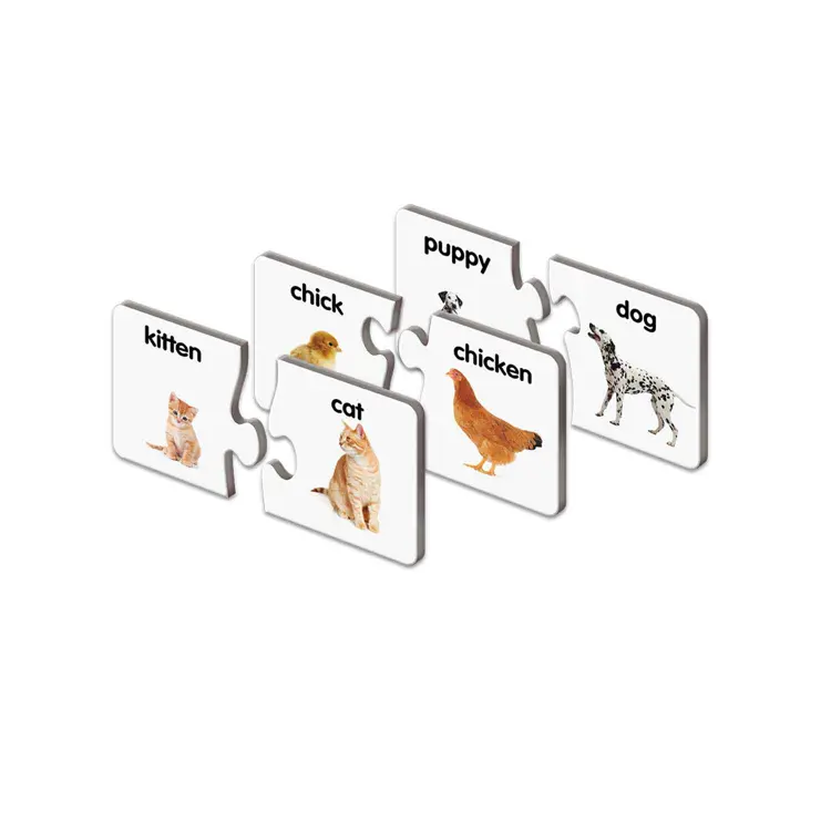 Match It Game Set