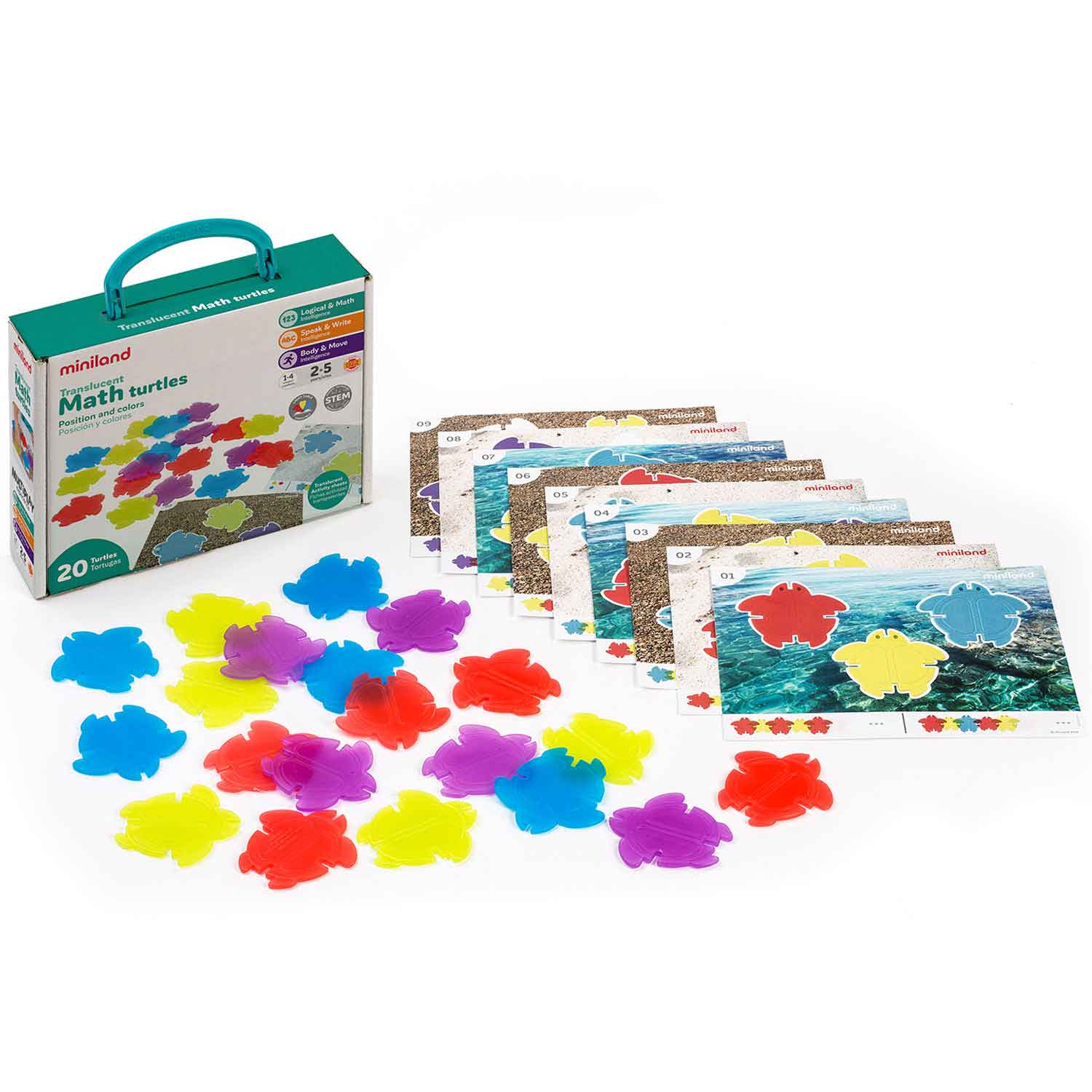 Translucent Math Turtles | Becker's School Supplies