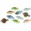 Magnetic Fishing Set