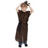 Ceremonial Costumes, Set of 7