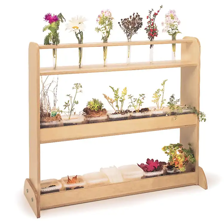 Nature Discovery Shelf