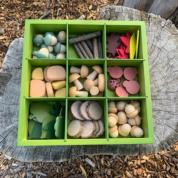 Nature's Sorting Box | Becker's School Supplies