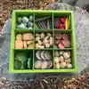 Nature's Sorting Box