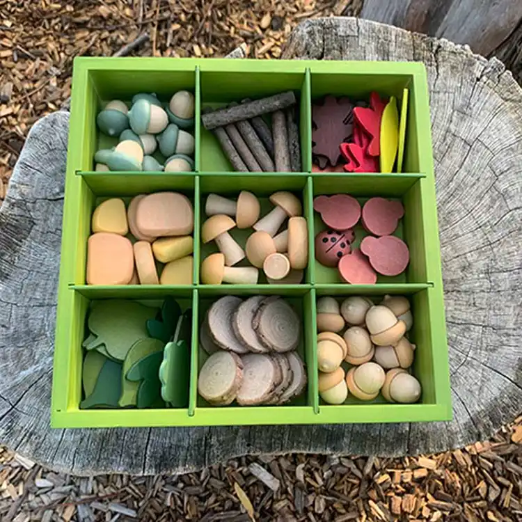 Nature's Sorting Box