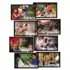 Character Education Posters