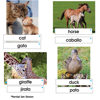 Animal Families Language Cards