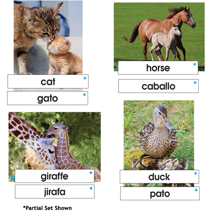 Animal Families Language Cards