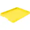 Large Paint Trays