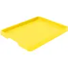 Large Paint Trays