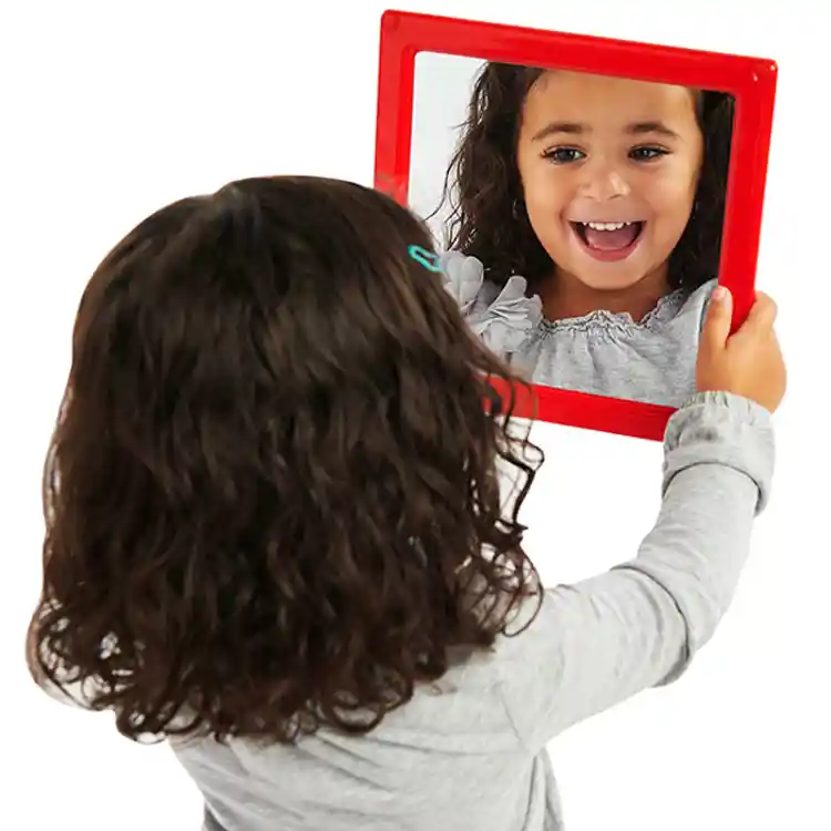 Panelcraft® Plastic Mirror Inserts